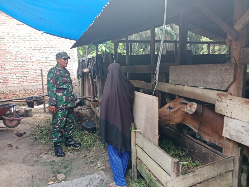 Sertu Sugiarto Gelar Sosialisasi PMK di Kampung Rantau Bertuah, Warga Diminta Waspada Gejala pada Hewan Ternak