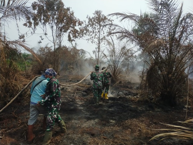 Tim Gabungan TNI Polri Lakukan Pendinginan Karhutla di Bangsal Aceh