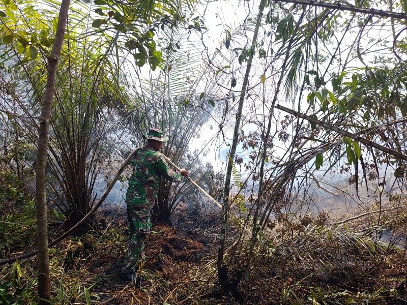 Karhutla di Mundam Terbakar 0,5 Hektare, TNI Bersama Tim Gabungan Lakukan Pemadaman