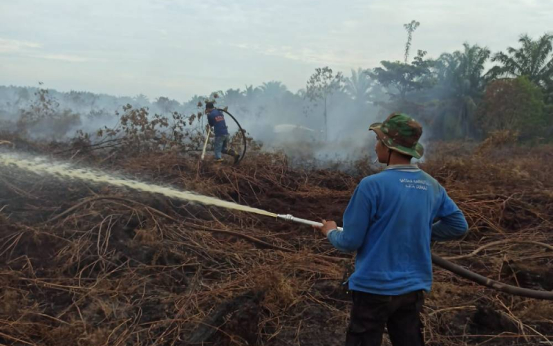 BPBD Berhasil Padamkan Karhutla di Lubuk Gaung, Warga Diminta Tidak Buka Lahan dengan Membakar