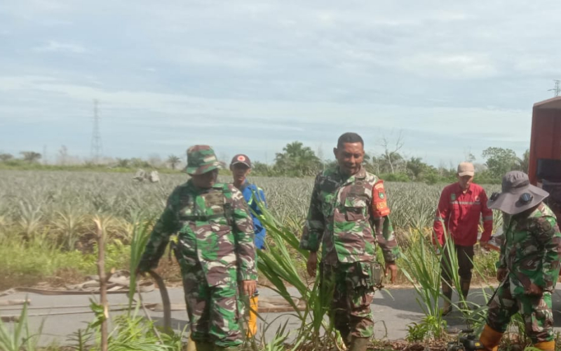Karhutla di Mundam Capai 1,5 Hektare, Babinsa dan BPBD Terus Lakukan Pemadaman