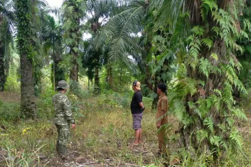 Babinsa Serda Iwan Sahputra Sosialisasikan Bahaya Karhutla di Bangsal Aceh