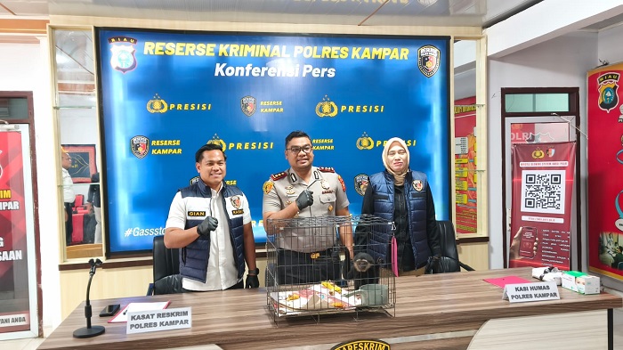 Polres Kampar Gagalkan Perdagangan Owa Ungko, Pelaku Ditangkap Saat Transaksi