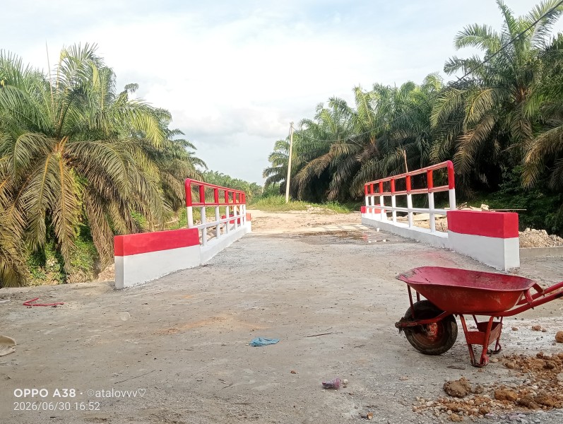 Jembatan Garuda di Minas Barat Rampung 100 Persen, Wujud Sinergi TNI dan Masyarakat Bangun Infrastruktur Desa