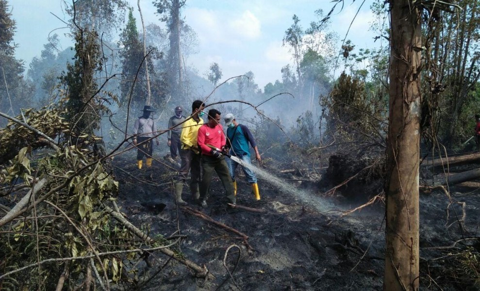 Karhutla di Tujuh Daerah, BPBD Riau Kerahkan Helikopter Water Bombing