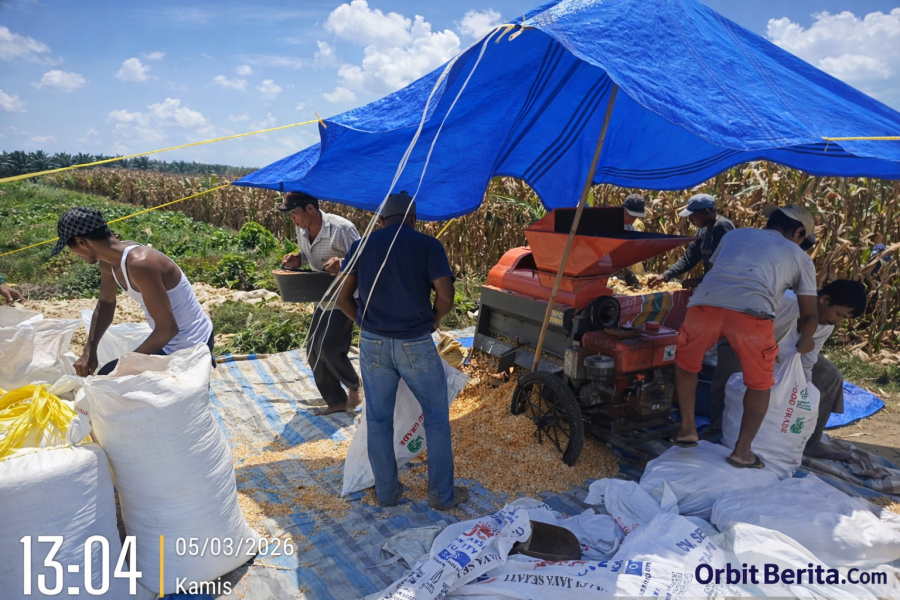 Polsek Bosar Maligas Kawal Ketahanan Pangan, 8,4 Ton Jagung Petani Parbutaran Digiling