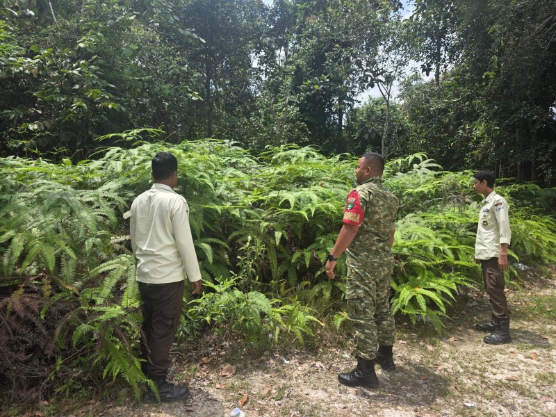 Babinsa Koptu AKP Hutagalung Laksanakan Patroli Karhutla di Minas Barat, Tidak Ditemukan Titik Api