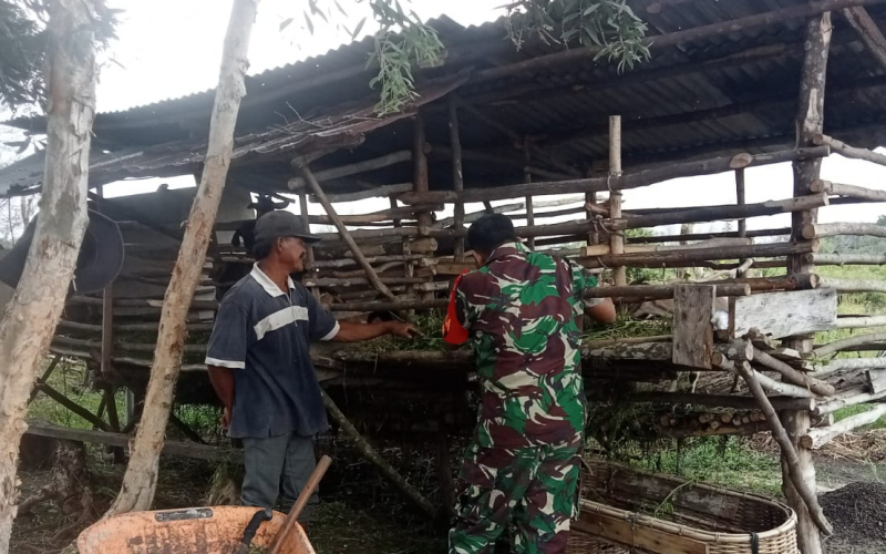 Langkah Strategis Babinsa Rimba Sekampung Dalam Pencegahan PMK