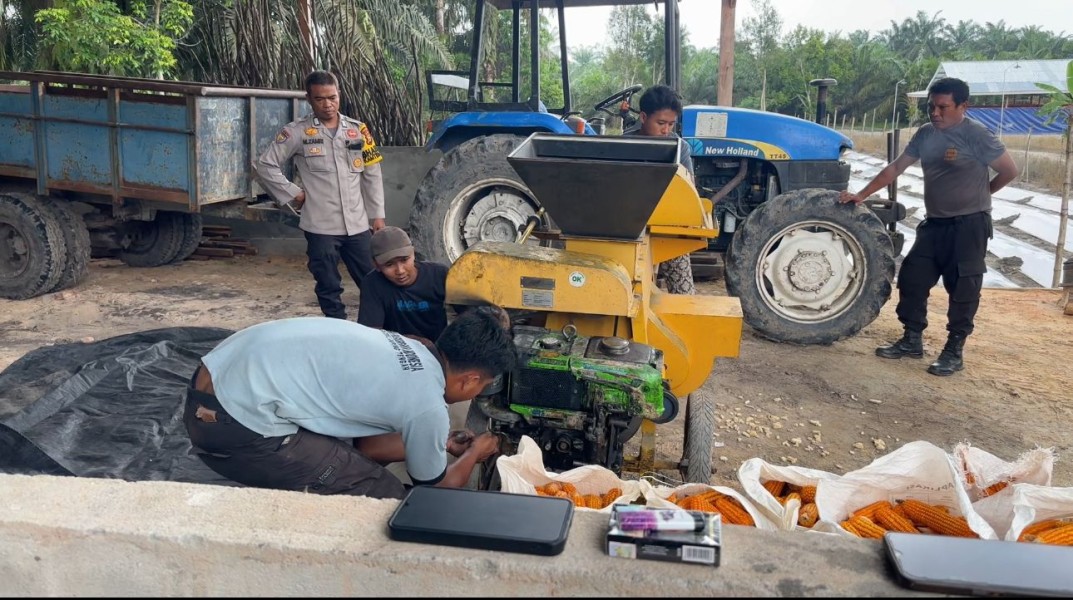 Polsek Koto Gasib Laksanakan Pemipilan Jagung, Dukung Program Ketahanan Pangan Nasional