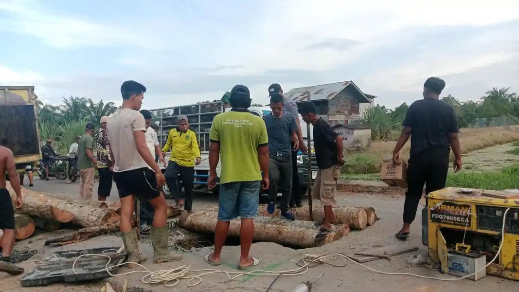 Tak Kunjung Diperbaiki, Jalan Berlobang di Rohil Ditutup dengan Batang Kelapa