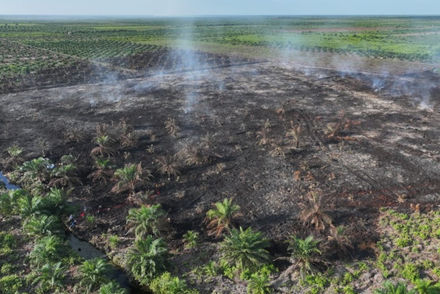 Bertaruh Nyawa Tanpa Sinyal: Perjuangan Petarung Api Manggala Agni di Pulau Serdang