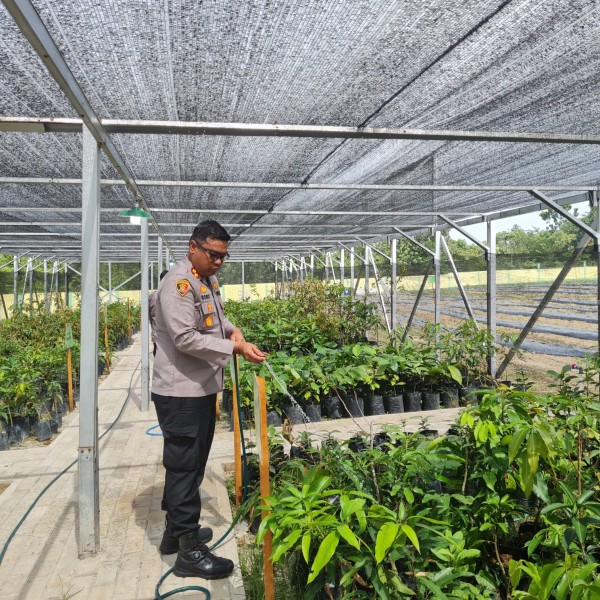 Sentuhan Tangan Kapolres Kampar Lestarikan Alam, Siram Bibit di Bank Pohon, Ajak Masyarakat Menanam untuk Masa Depan!