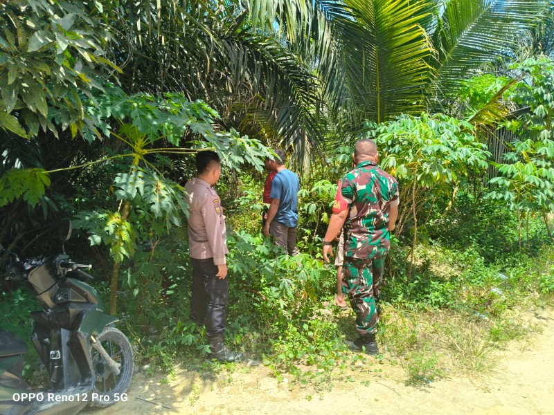 Babinsa Koramil 03/Minas Laksanakan Patroli Karhutla: Tak Ditemukan Titik Api, Situasi Aman dan Terkendali