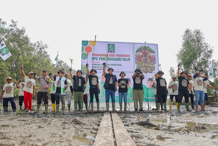 PKB Inhil Tanam Mangrove di Sungai Bela, Iwan Taruna: Jaga Hutan untuk Anak Cucu