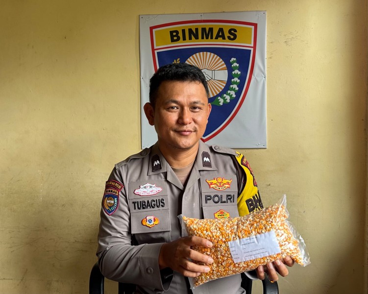 Polsek Koto Gasib Kirim Sampel Jagung Pipil ke Bulog, Uji Kualitas Hasil Panen Kelompok Tani Bhayangkara