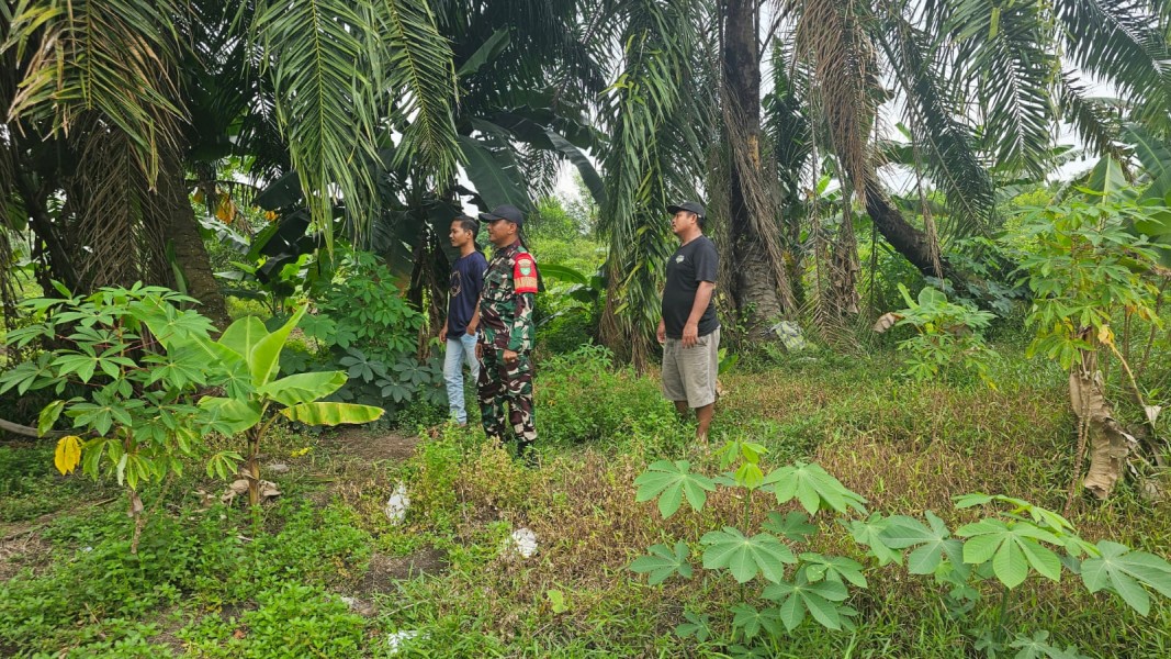 Pastikan Kondisi Aman dari Karhutla, Babinsa Koramil 06/Kateman Kembali Patroli Tapal Batas