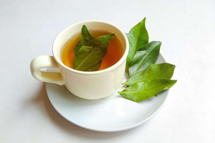 Waspada! Asal Minum Air Rebusan Daun Bisa Picu Gagal Ginjal