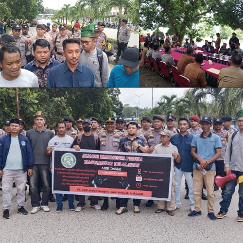 AMPMP Demo RAPP, Bupati Zukri Bubarkan Semua Tim Tanaman Kehidupan di Kabupaten Pelalawan