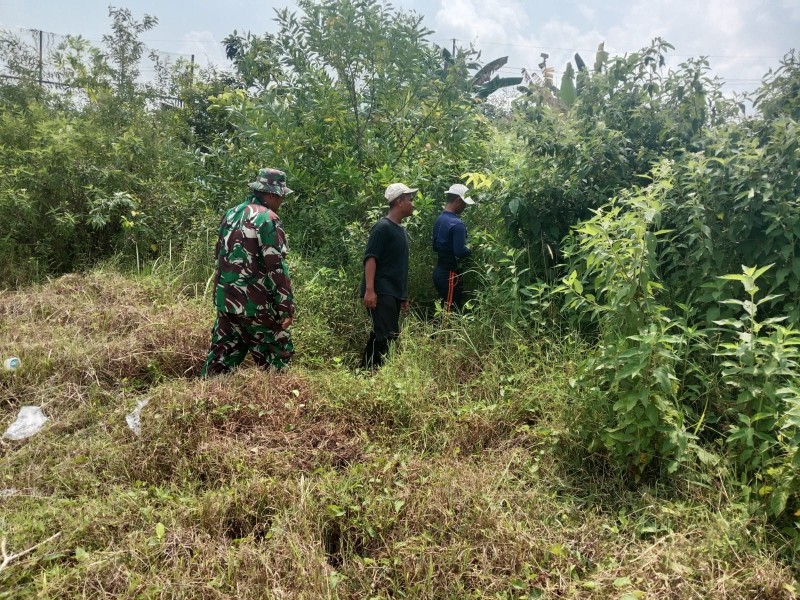 Babinsa Sertu Sugiarto Gelar Patroli Karhutla di Rantau Bertuah, Situasi Aman Terkendali