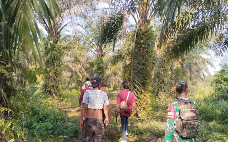 Babinsa Patroli Karhutla dan Sosialisasi Larangan Bakar Lahan di Tanjung Penyembal