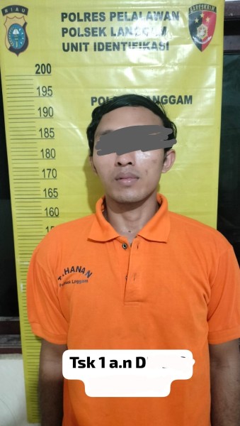 Dua pelaku Pencurian Sawit Milik Warga Diamankan Polsek, 14 Tandan Jadi Barang Bukti
