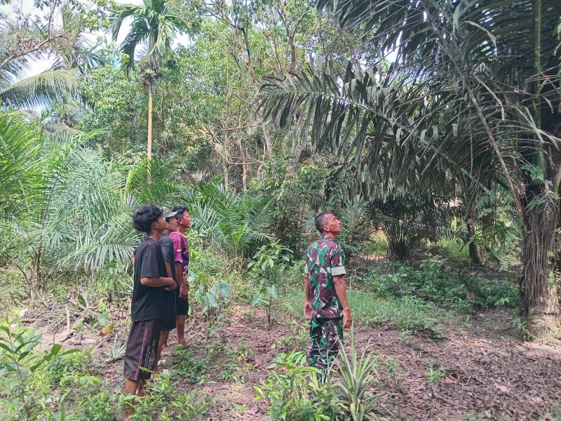 Babinsa Sri Wahyudi Patroli Karhutla di Lubuk Jering, Titik Api Nihil