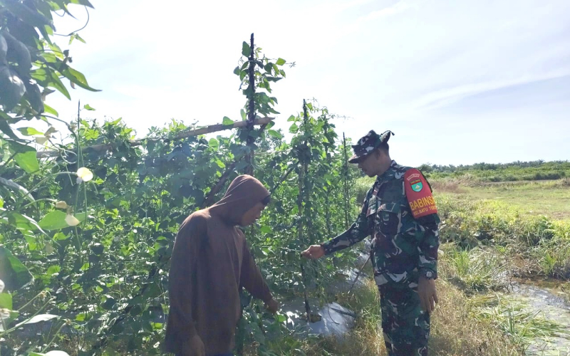 Dukung Ketahanan Pangan, Babinsa Sungai Sembilan Bantu Warga Tanam Kacang Panjang