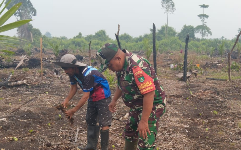 Dukung Ketahanan Pangan, Babinsa Kodim 0320/Dumai Dampingi Warga Kelola Lahan Pertanian