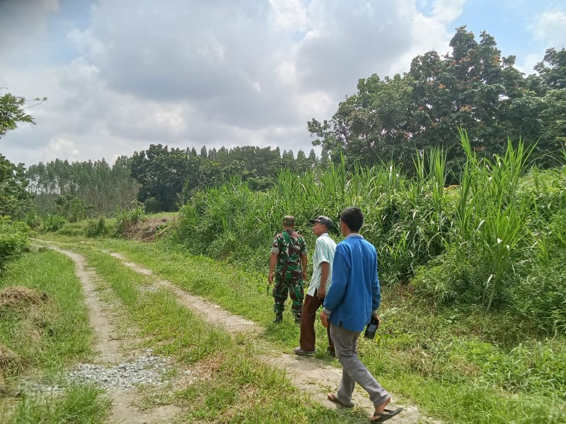 Sertu L. Syahdanur Patroli Karhutla di Pinang Sebatang Barat, Situasi Aman