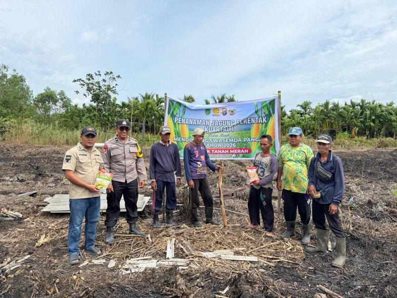 Dukung Program Presiden, Desa Tekulai Hulu Gerak Cepat Tanam Jagung