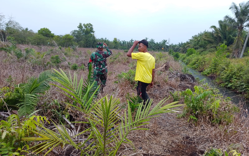 Koramil 02 Patroli, Tekan Angka Kebakaran Lahan yang Terjadi
