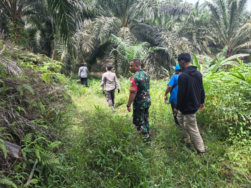 Babinsa Koptu AKP Hutagalung Laksanakan Patroli Karhutla di Wilayah Minas
