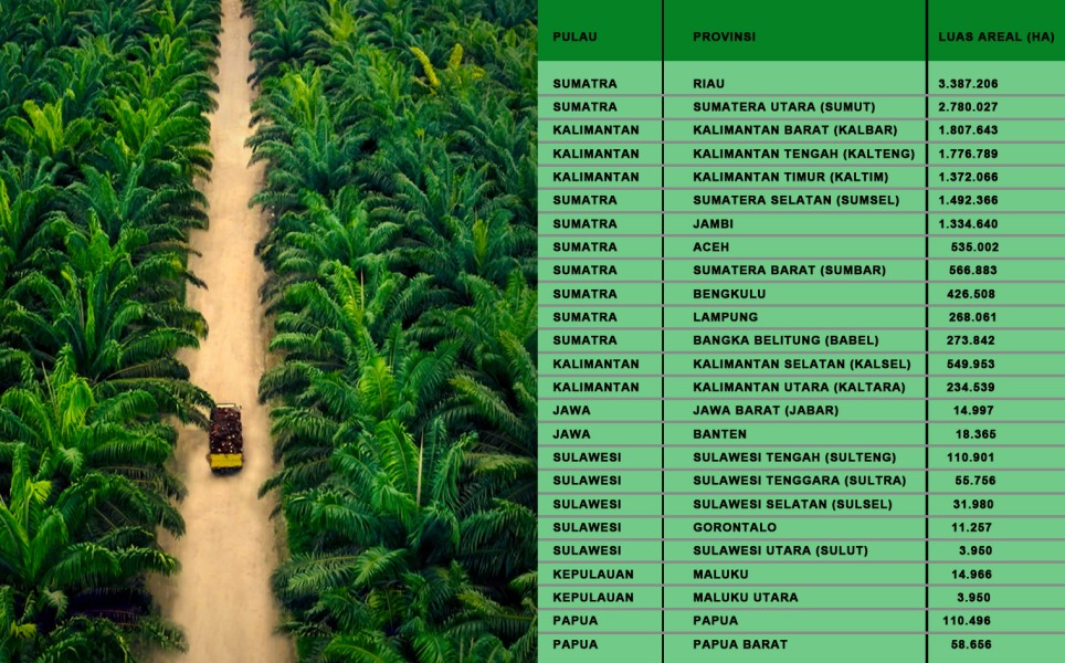 Riau Pimpin Sebaran Sawit Nasional, Enam Provinsi Kuasai 76 Persen Areal Sawit Indonesia