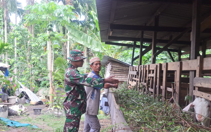 Koramil 01 Tingkatkan Pemahaman Peternak Tentang Cara Menangani Wabah Penyakit