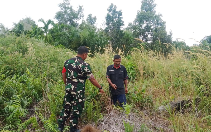 Patroli Karhutla dan Pembinaan Pertanian Dilakukan Babinsa Rimba Sekampung