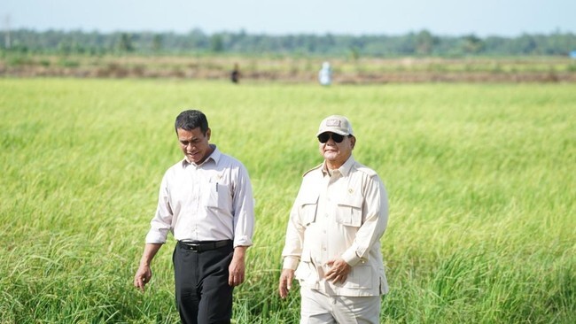 Produksi Beras Capai 34 Juta Ton, 3 Bulan Lagi Indonesia Swasembada Pangan dan Stop Impor
