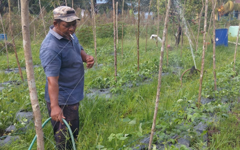 Babinsa Bagan Besar Timur Dorong Warga Manfaatkan Lahan untuk Tanaman Pangan