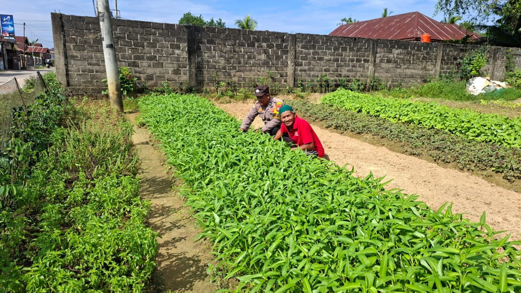 Dukung Ketahanan Pangan Nasional, Bhabinkamtibmas Desa Candirejo Ajak Warga Kembangkan Budidaya Bayam dan Kangkung