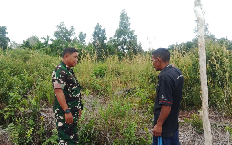 Cegah Kebakaran, Babinsa Rutin Pantau Lahan Gambut dan Dampingi Petani Jagung
