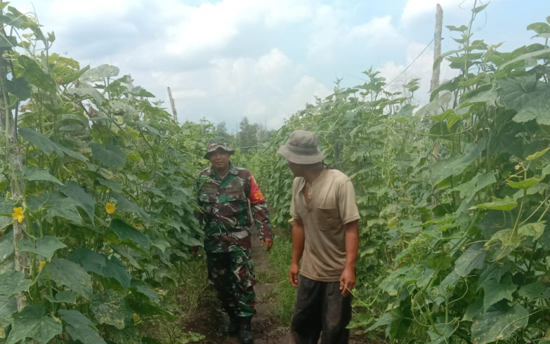 Serda Cerzakatno Turun ke Lahan, Bantu Petani Tingkatkan Hasil Pertanian