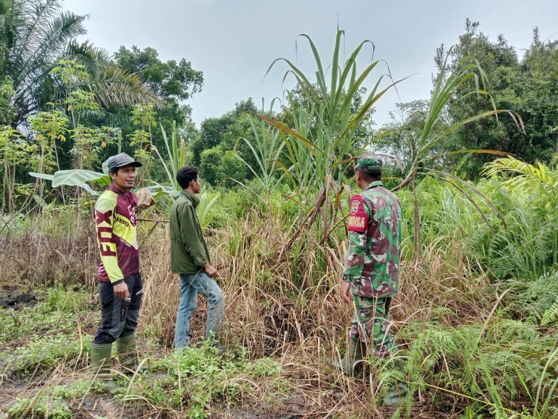 Cegah Karhutla, Babinsa Koramil 03/Minas Gencarkan Patroli di Rantau Bertuah