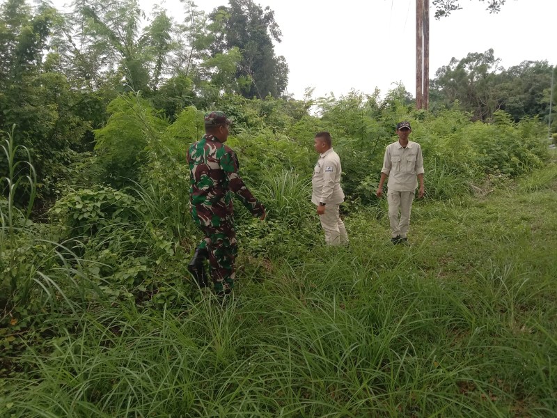 Babinsa Sertu Sugiarto Patroli Karhutla di Rantau Bertuah, Titik Api Nihil