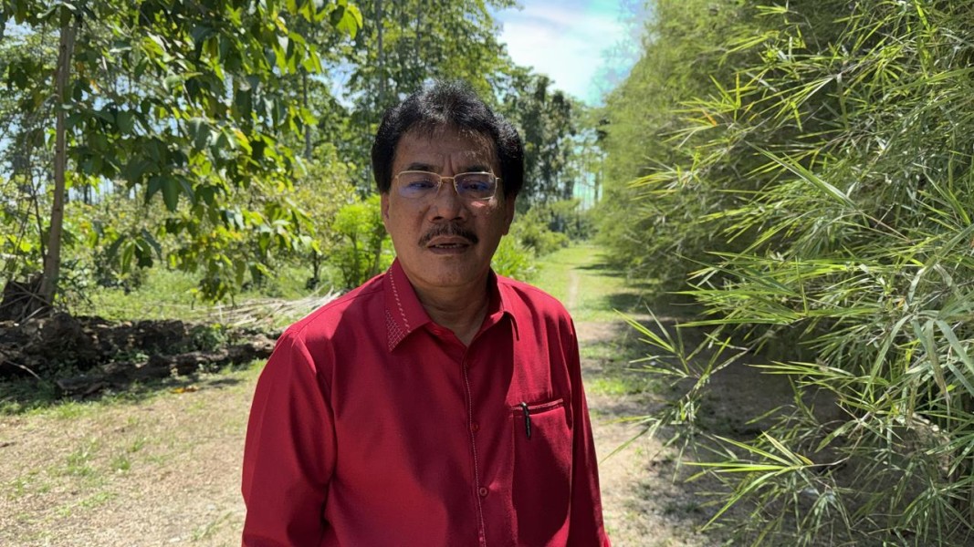 APHI Tanggapi Video Bupati soal Konflik Lahan di Siak