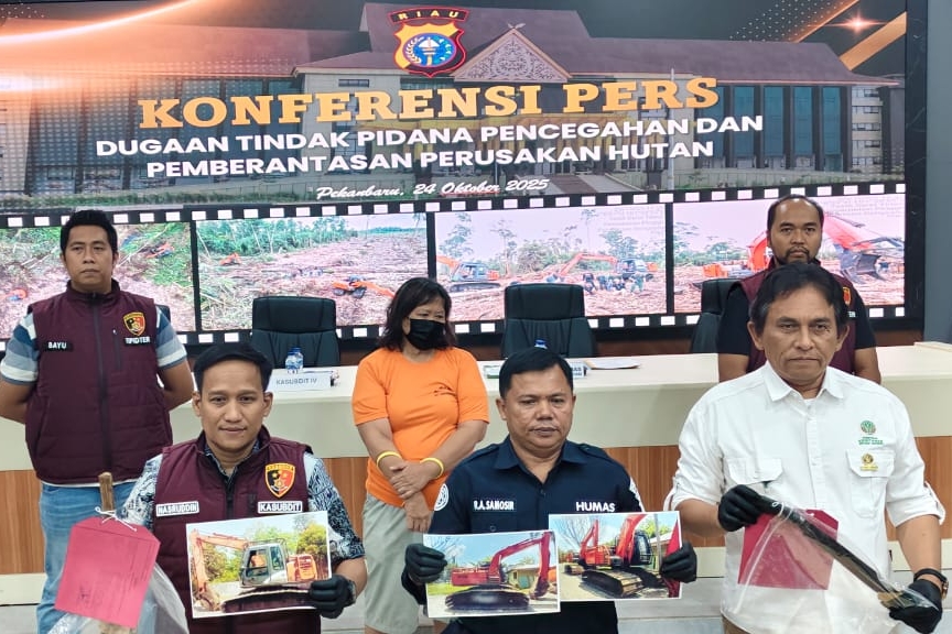 Tim Gabungan Tangkap IRT Pelaku Perambah 13 Hektar Hutan Cagar Biosfer Giam Siak Kecil
