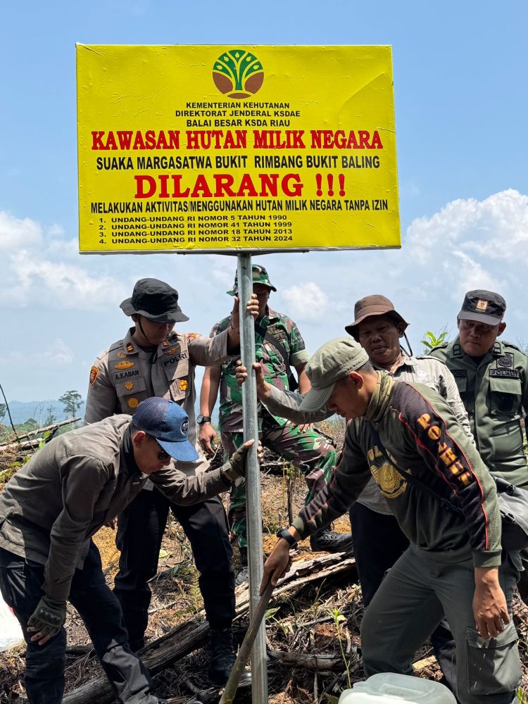 Operasi Gabungan, Polisi-TNI dan Polhut BBKSDA Riau Awasi Suaka Margasatwa Bukit Rimbang Baling