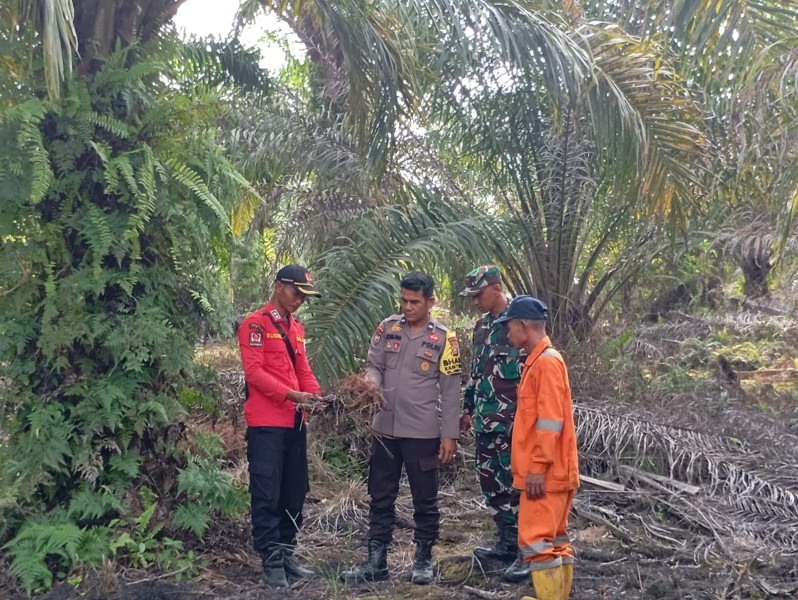 Babinsa Sertu Joko Purnomo Patroli Karhutla di Bencah Umbai, Pastikan Wilayah Minas Aman dari Titik Api