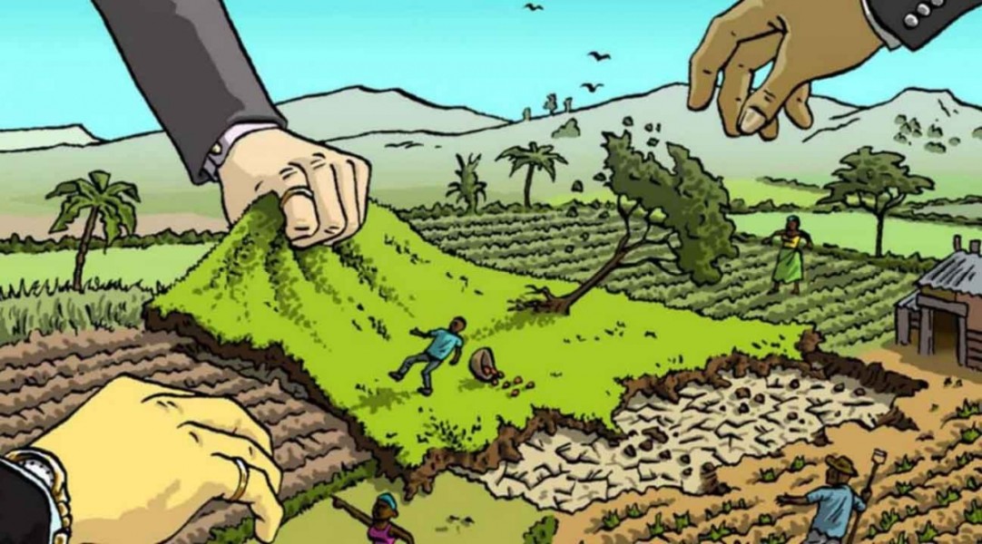 Warga Negara Malaysia Kuasai Lahan di Kuala Sebatu Inhil, Oknum Penyalahguna Wewenang Harus Dipenjara