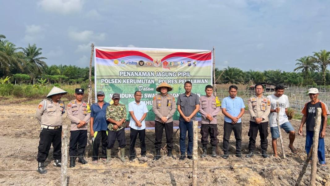 Polsek Kerumutan Tanam Jagung di Lahan Ketahanan Pangan Banjar Panjang: Polri Dampingi Petani Wujudkan Swasembada