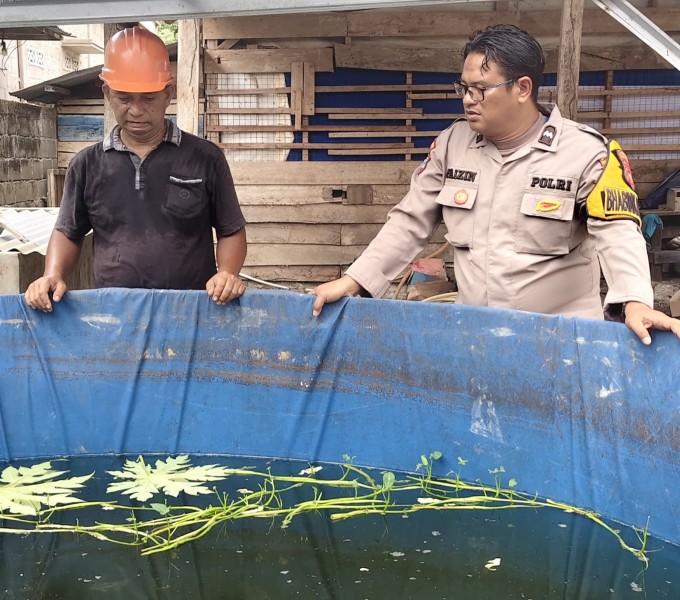 Bhabinkamtibmas Polsek Pasir Penyu Dampingi Kelompok Tani Ikan, Dukung Ketahanan Pangan Nasional