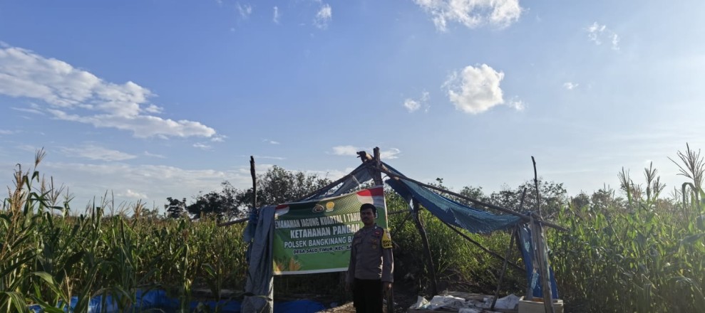 Polsek Bangkinang Barat Laksanakan Pendampingan Pemeliharaan Tanaman Jagung Kelompok Tani di Desa Salo Timur
